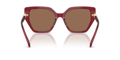 Swarovski SK6016 Transparent Burgundy/Dark Brown #colour_transparent-burgundy-dark-brown