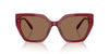 Swarovski SK6016 Transparent Burgundy/Dark Brown #colour_transparent-burgundy-dark-brown