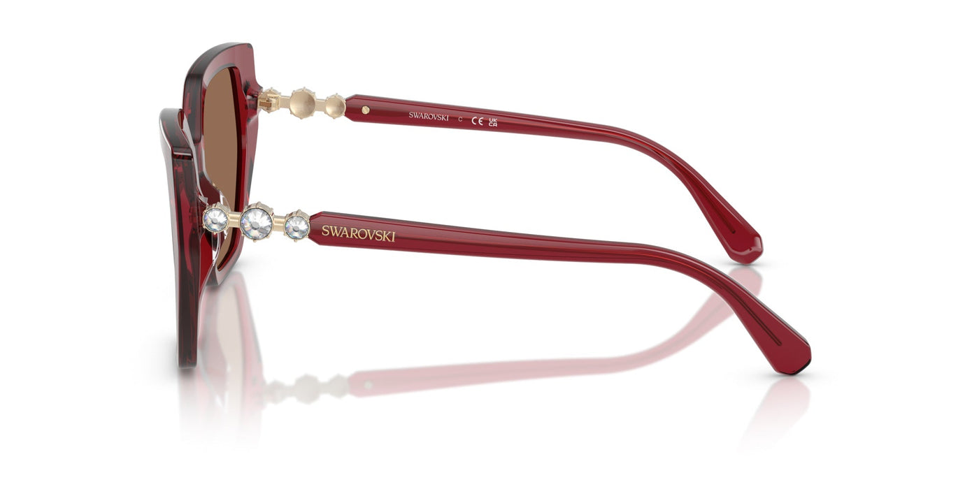 Swarovski SK6016 Transparent Burgundy/Dark Brown #colour_transparent-burgundy-dark-brown