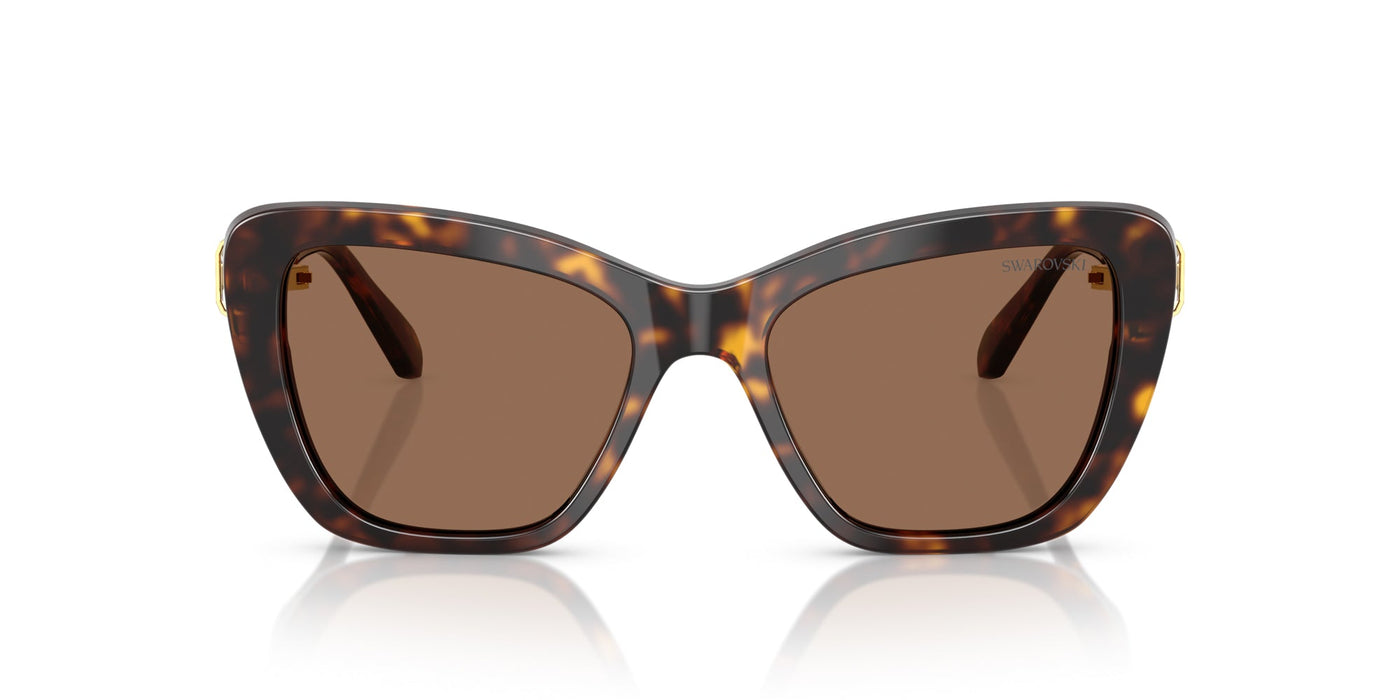 Swarovski SK6018 Havana/Dark Brown #colour_havana-dark-brown