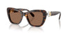 Swarovski SK6018 Havana/Dark Brown #colour_havana-dark-brown