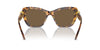 Swarovski SK6018 Havana Media/Dark Brown #colour_havana-media-dark-brown