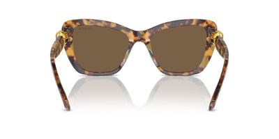 Swarovski SK6018 Havana Media/Dark Brown #colour_havana-media-dark-brown