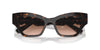 Swarovski SK6021 Havana/Brown Gradient #colour_havana-brown-gradient