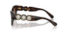 Swarovski SK6021 Havana/Brown Gradient #colour_havana-brown-gradient