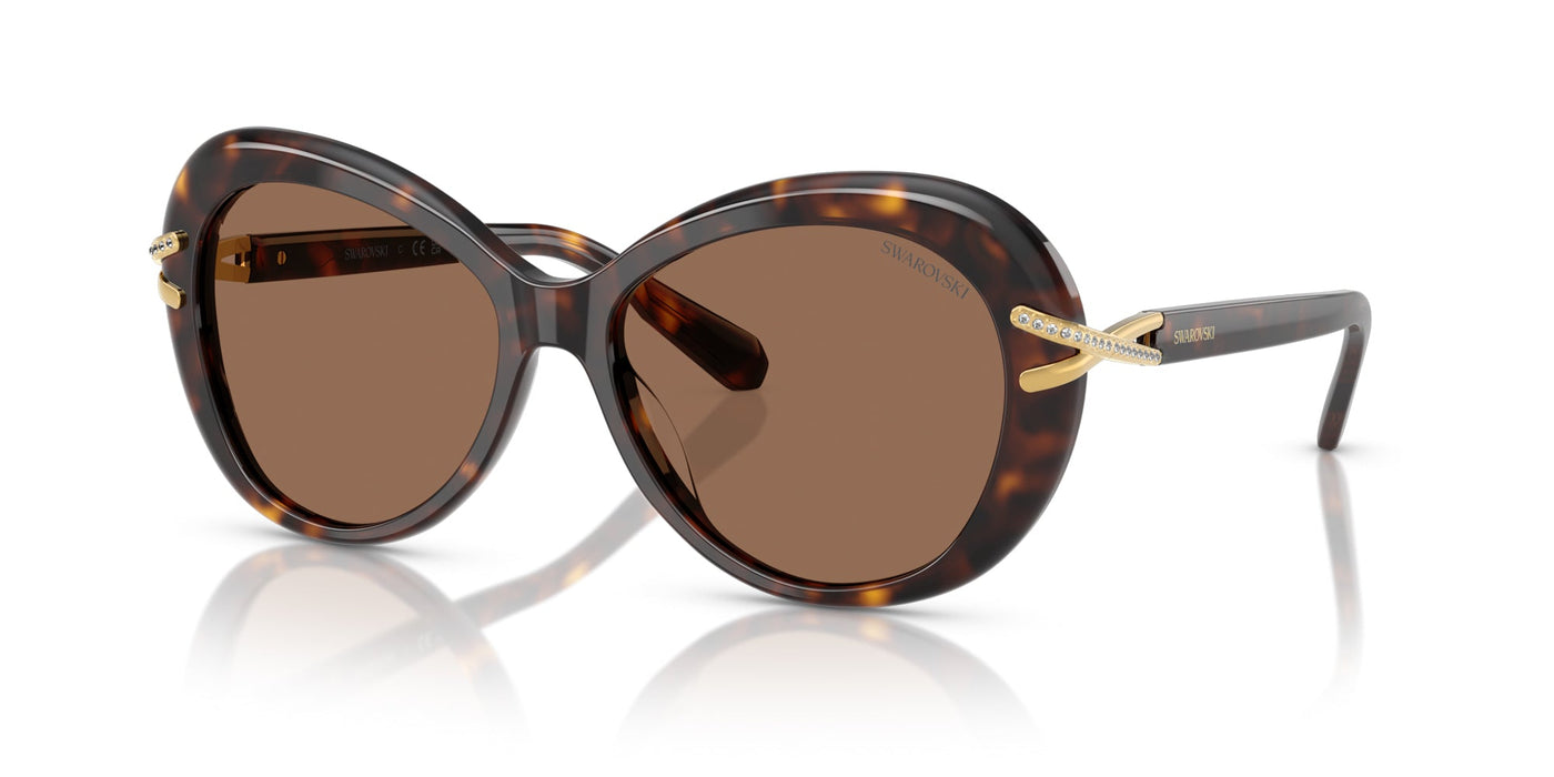 Swarovski SK6026 Havana/Dark Brown #colour_havana-dark-brown