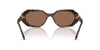 Swarovski SK6028 Dark Havana/Dark Brown #colour_dark-havana-dark-brown