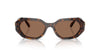 Swarovski SK6028 Dark Havana/Dark Brown #colour_dark-havana-dark-brown