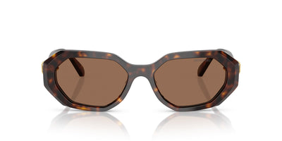 Swarovski SK6028 Dark Havana/Dark Brown #colour_dark-havana-dark-brown