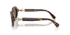 Swarovski SK6028 Dark Havana/Dark Brown #colour_dark-havana-dark-brown