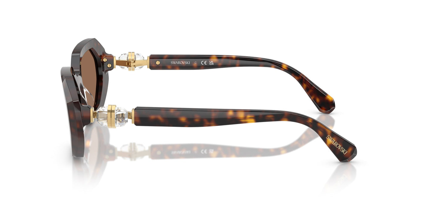 Swarovski SK6028 Dark Havana/Dark Brown #colour_dark-havana-dark-brown