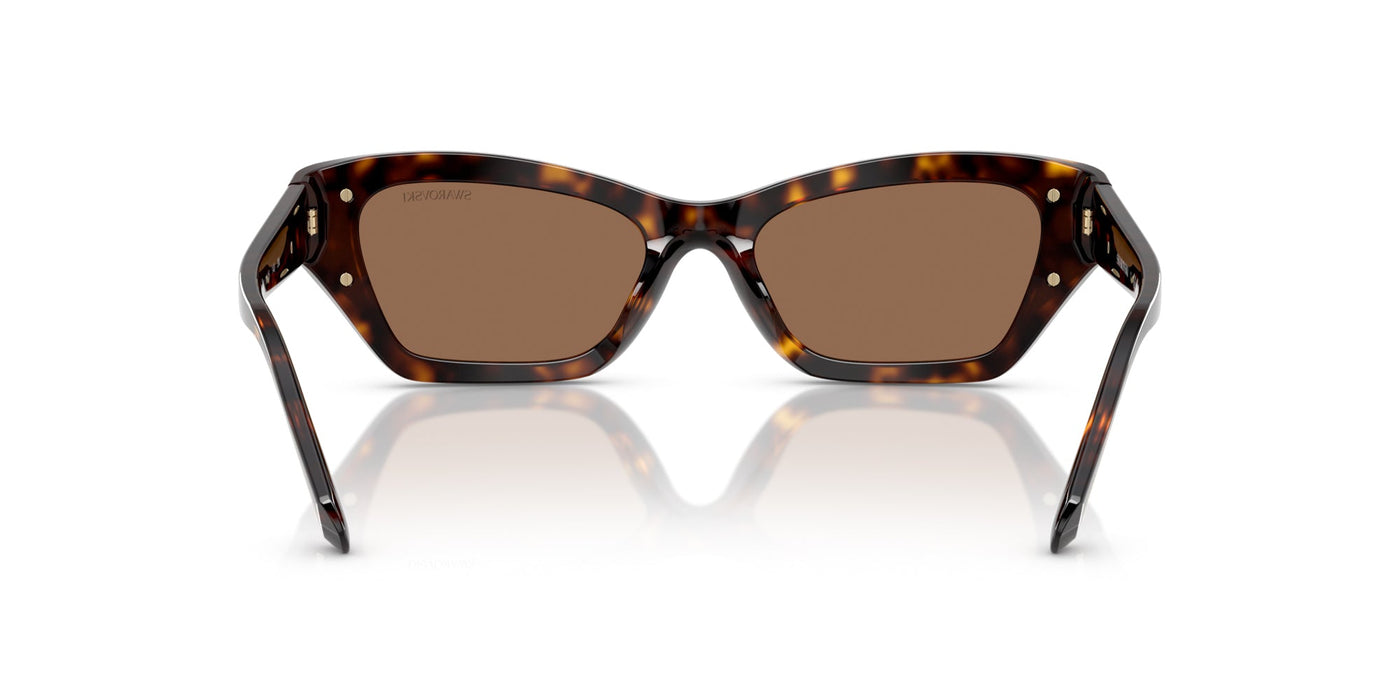 Swarovski SK6029 Dark Havana/Dark Brown #colour_dark-havana-dark-brown