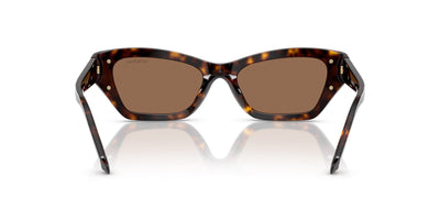 Swarovski SK6029 Dark Havana/Dark Brown #colour_dark-havana-dark-brown