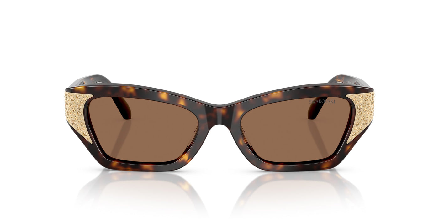 Swarovski SK6029 Dark Havana/Dark Brown #colour_dark-havana-dark-brown