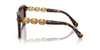 Swarovski SK6032 Havana/Dark Brown #colour_havana-dark-brown