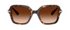 #colour_havana-brown-gradient