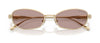 #colour_pale-gold-light-purple-brown