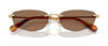 #colour_gold-dark-brown
