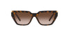 Tiffany TF4205U Havana/Brown Gradient #colour_havana-brown-gradient