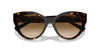 Tiffany TF4220 Havana/Clear Brown Gradient #colour_havana-clear-brown-gradient