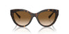 Tiffany TF4220 Havana/Clear Brown Gradient #colour_havana-clear-brown-gradient