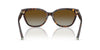 Tiffany TF4237B Havana/Brown Polarised Gradient #colour_havana-brown-polarised-gradient