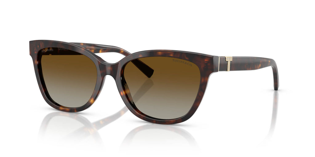 Tiffany TF4237B Havana/Brown Polarised Gradient #colour_havana-brown-polarised-gradient