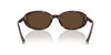 Tiffany TF4242D Havana/Light Brown #colour_havana-light-brown