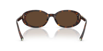 Tiffany TF4242D Havana/Light Brown #colour_havana-light-brown