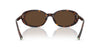 Tiffany TF4242D Havana/Light Brown #colour_havana-light-brown