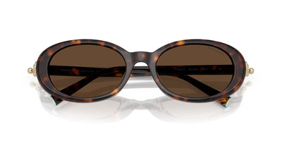 Tiffany TF4242D Havana/Light Brown #colour_havana-light-brown