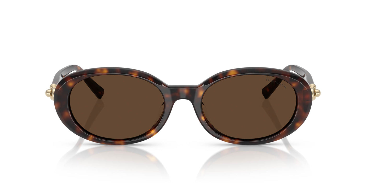 Tiffany TF4242D Havana/Light Brown #colour_havana-light-brown