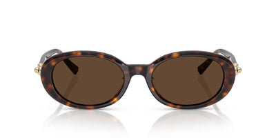 Tiffany TF4242D Havana/Light Brown #colour_havana-light-brown