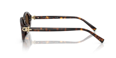 Tiffany TF4242D Havana/Light Brown #colour_havana-light-brown