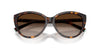 Tiffany TF4251 Havana/Brown Gradient #colour_havana-brown-gradient