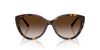 Tiffany TF4251 Havana/Brown Gradient #colour_havana-brown-gradient