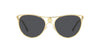 Versace VE2237 Gold/Dark Grey #colour_gold-dark-grey