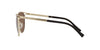 Versace VE2237 Pale Gold/Dark Brown #colour_pale-gold-dark-brown