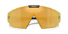 Versace VE4461 Black/Dark Grey Gold Mirror #colour_black-dark-grey-gold-mirror