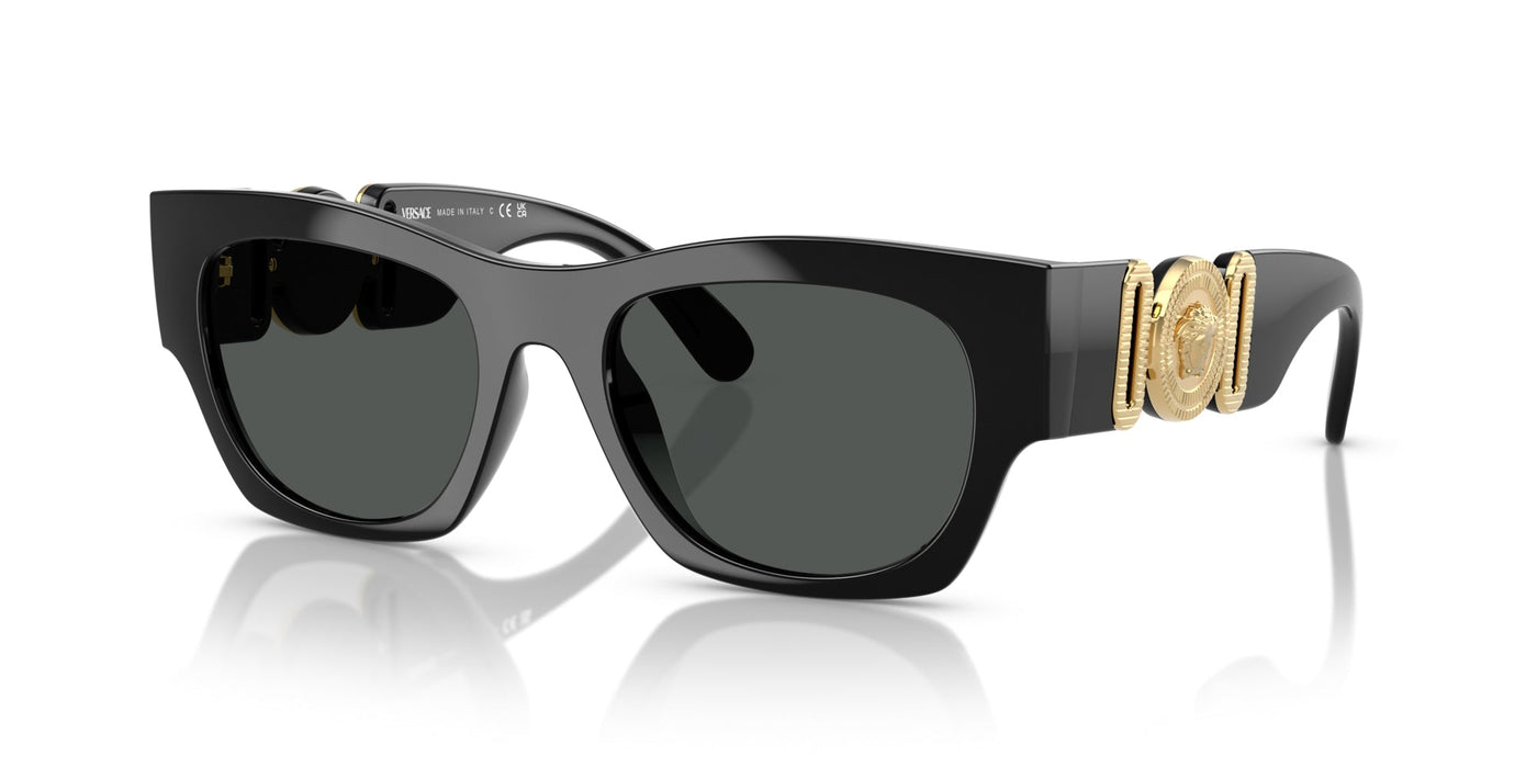 Versace VE4479U Black-Gold/Dark Grey #colour_black-gold-dark-grey