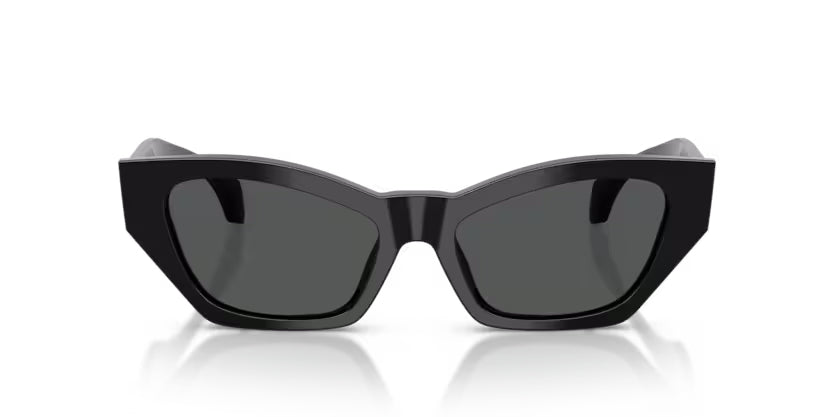 Versace 4488U Black/Grey #colour_black-grey
