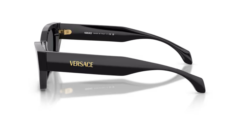 Versace 4488U Black/Grey #colour_black-grey