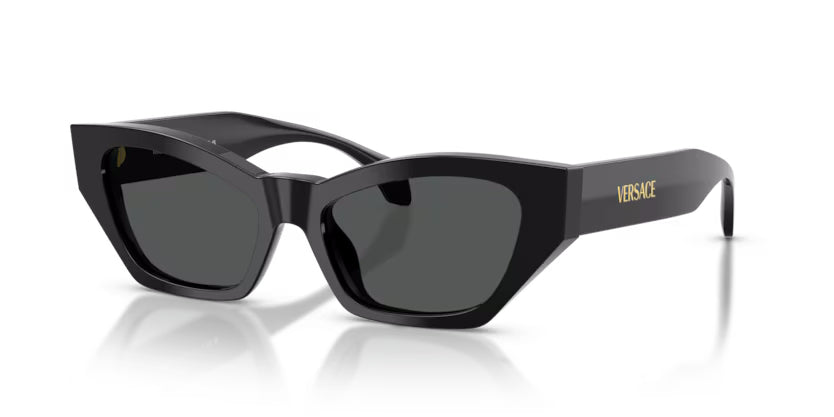 Versace 4488U Black/Grey #colour_black-grey
