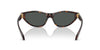 Versace VE4491U Havana/Dark Grey #colour_havana-dark-grey