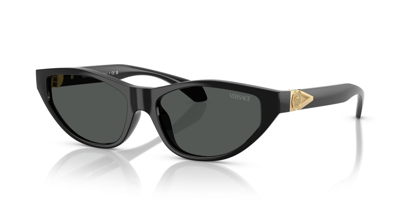 Versace VE4491U Black/Dark Grey #colour_black-dark-grey