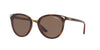 Vogue VO5230S Top Havana-Brown Transparent/Dark Brown #colour_top-havana-brown-transparent-dark-brown
