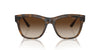 Vogue Eyewear VO5557S Top Dark Havana/Light Brown/Brown Gradient #colour_top-dark-havana-light-brown-brown-gradient