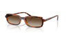 Vogue Eyewear VO5666S Dark Havana/Brown Gradient #colour_dark-havana-brown-gradient