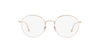 Giorgio Armani AR5095 Brown #colour_brown