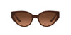 Dolce&Gabbana DG6146 Purple/Brown Gradient #colour_purple-brown-gradient